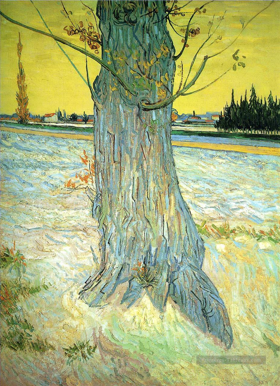 Coffre d’un vieil arbre Vincent Van Gogh Peintures à l'huile
